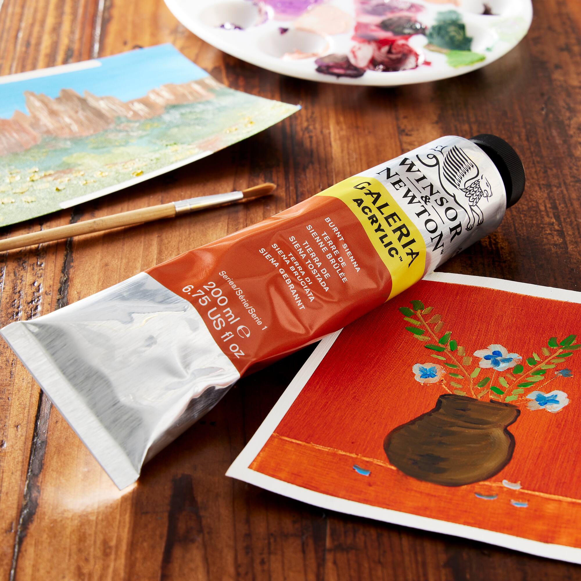 Winsor & Newton™ Galeria Acrylic
